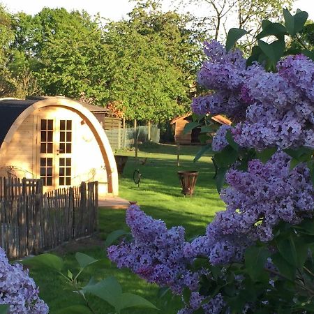Het Koningshofje Bed and Breakfast NeerNeerpelt Exteriör bild