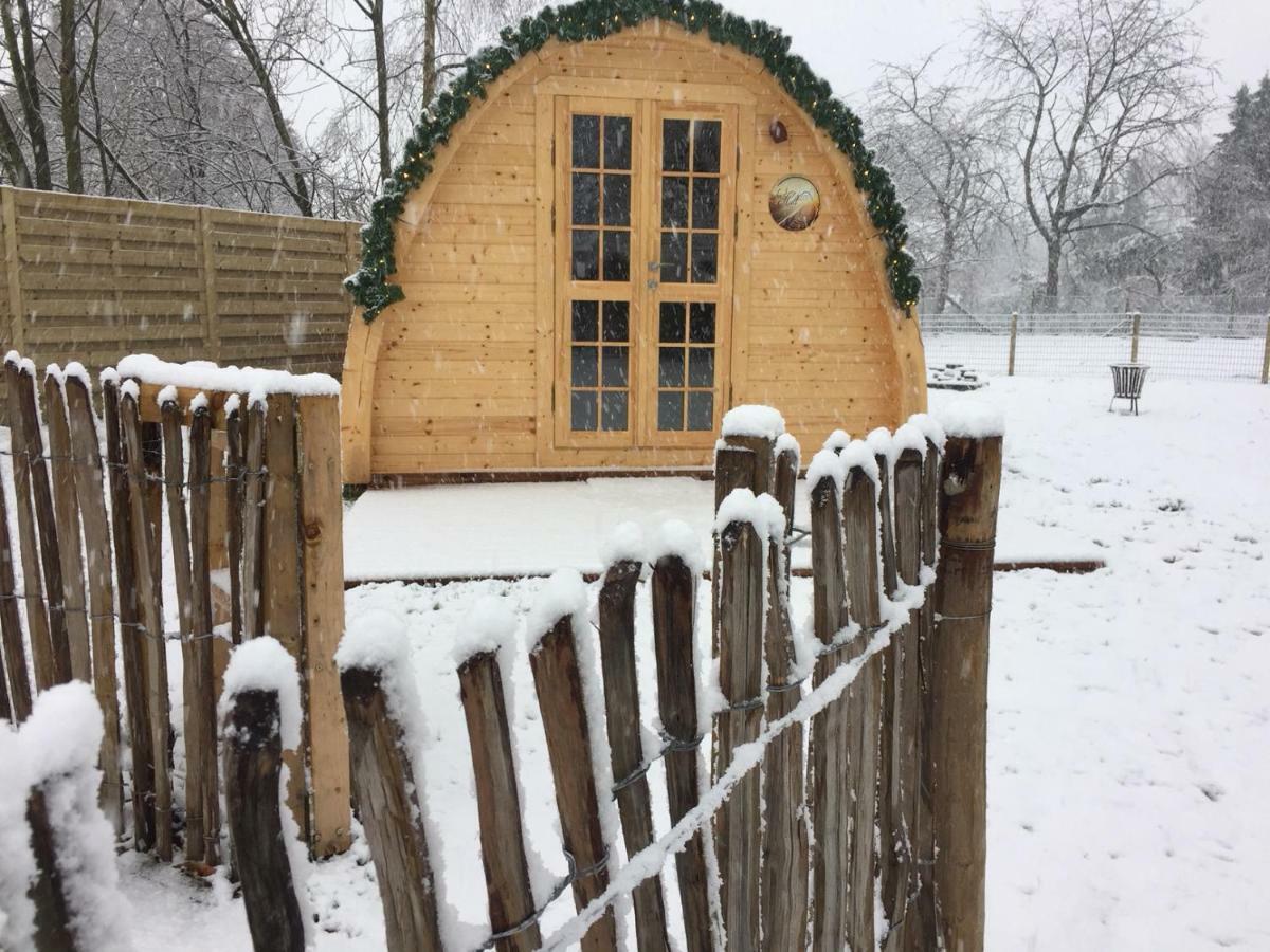 Het Koningshofje Bed and Breakfast NeerNeerpelt Exteriör bild