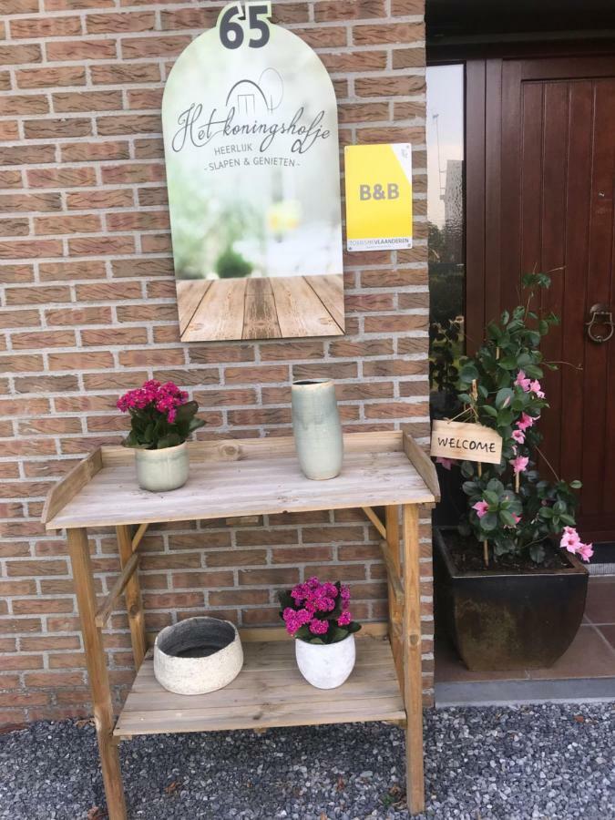 Het Koningshofje Bed and Breakfast NeerNeerpelt Exteriör bild